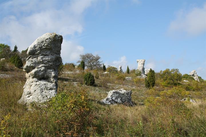 Verksamhetsbild