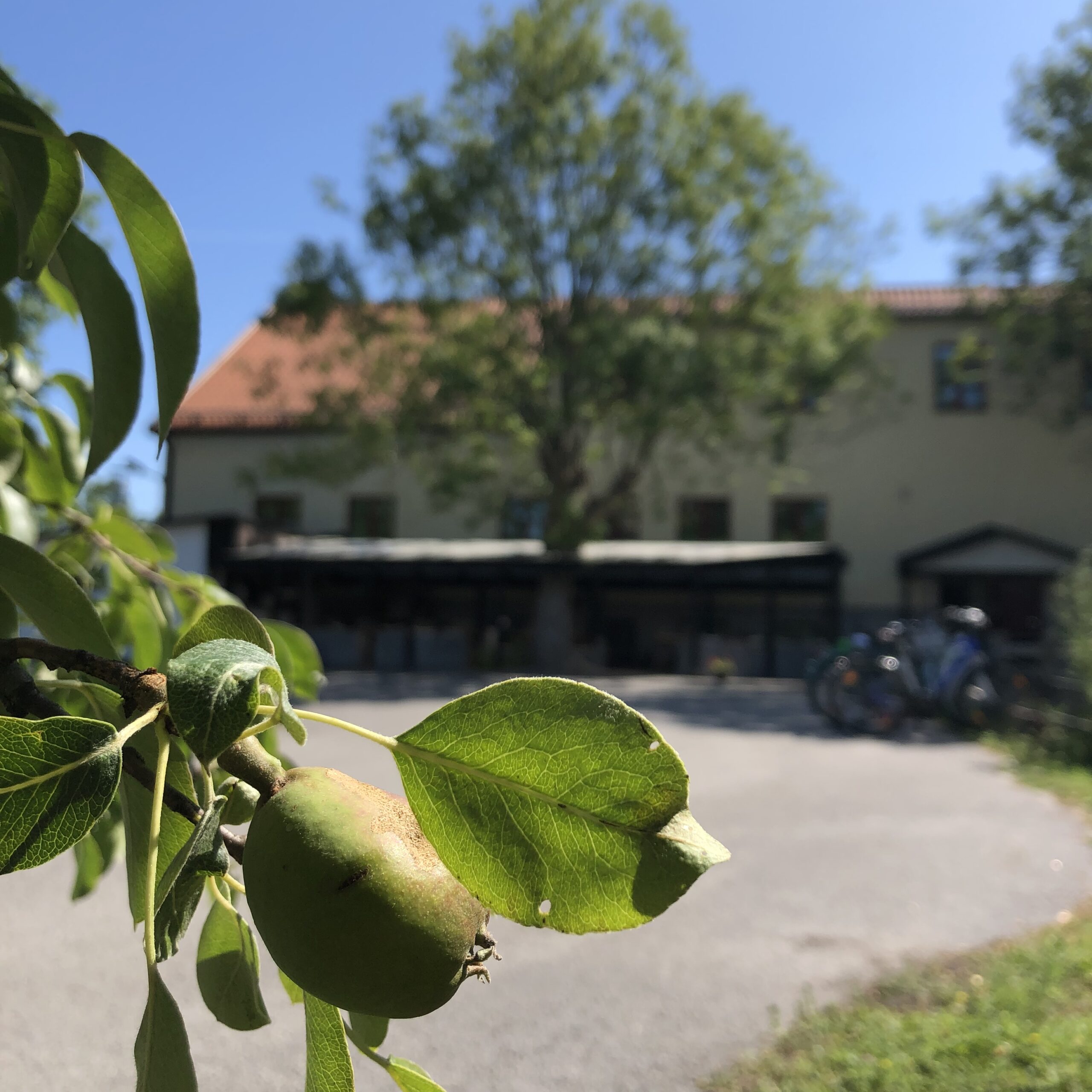 Verksamhetsbild