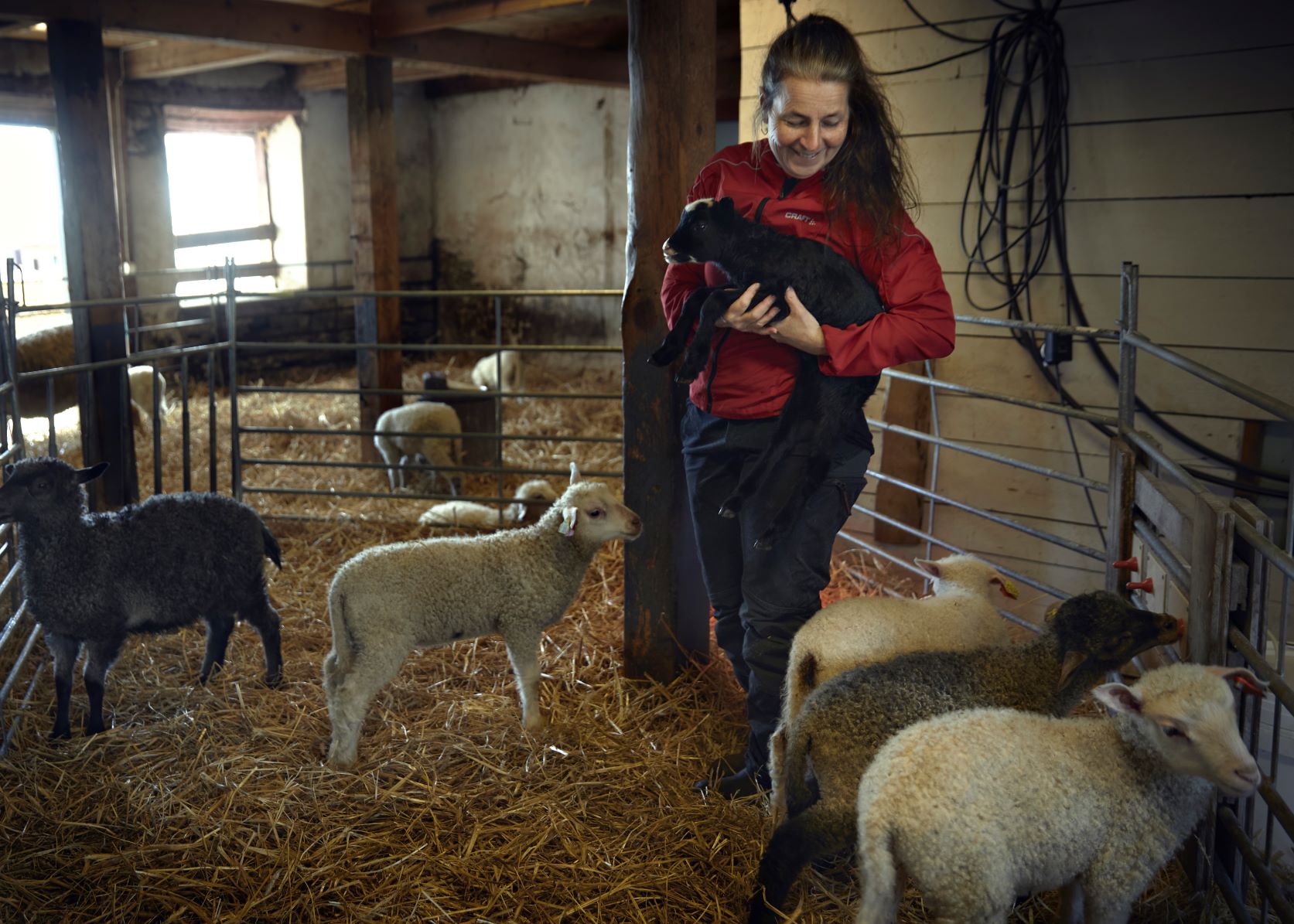 Kvinna med lamm i famnen