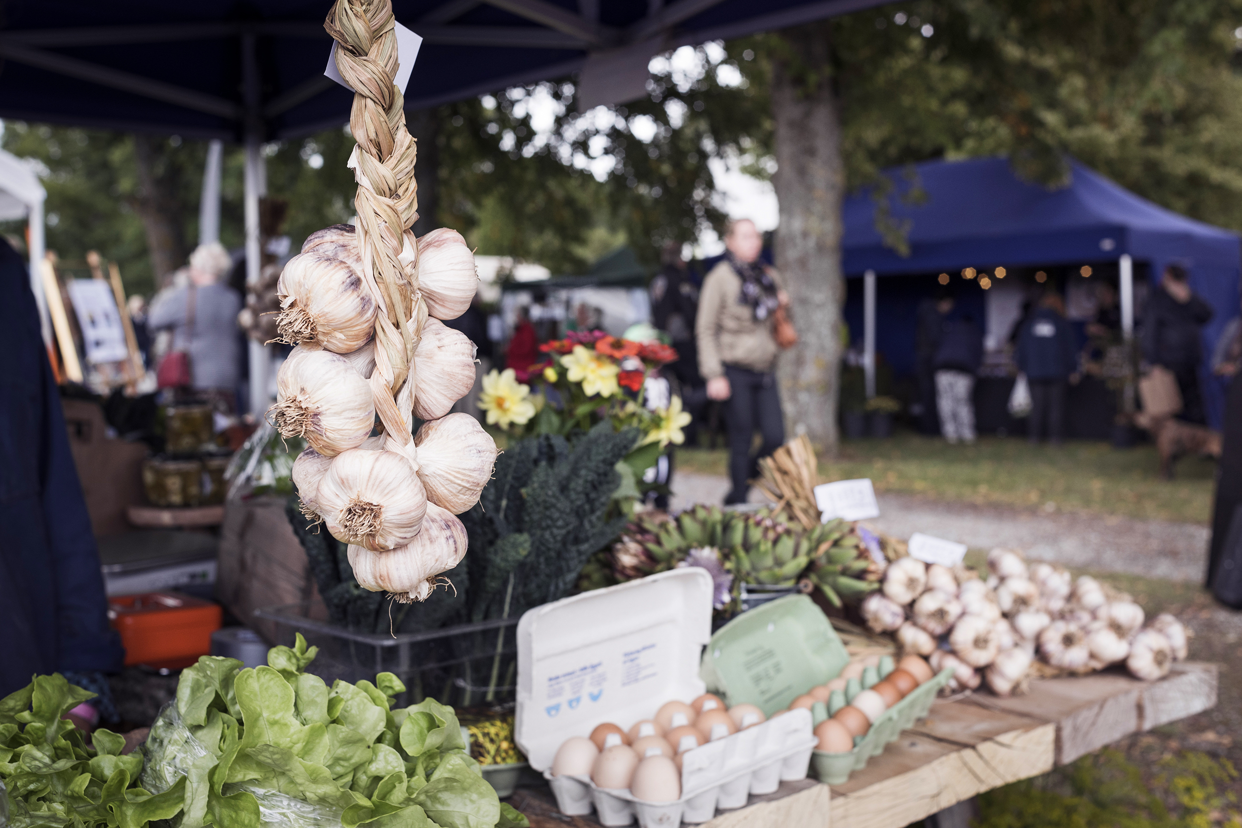 Gotländska grönsaker på skördefestivalen