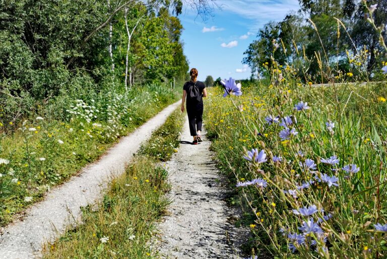 person som går pilgrimsleden från Roma till Dalhem