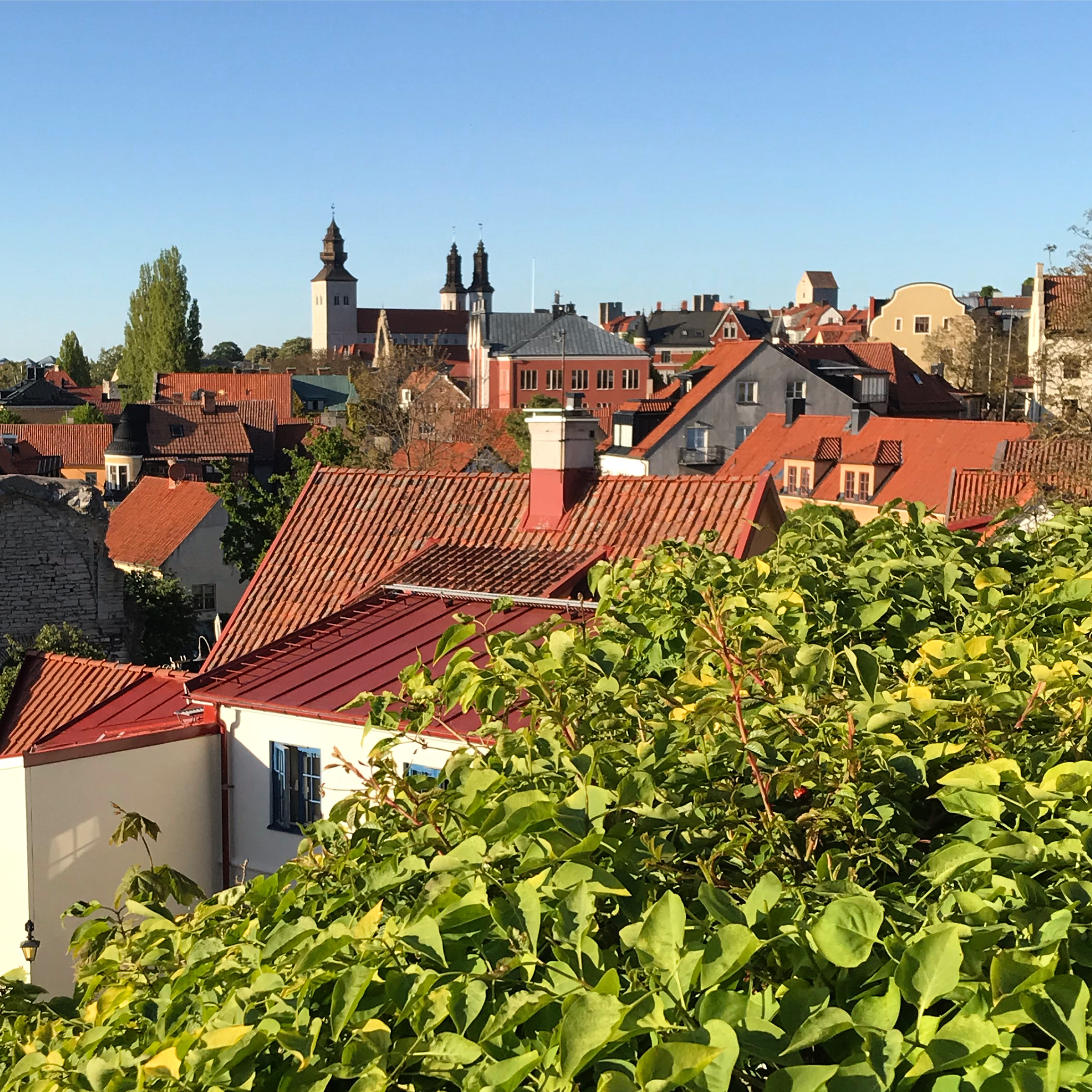 Verksamhetsbild