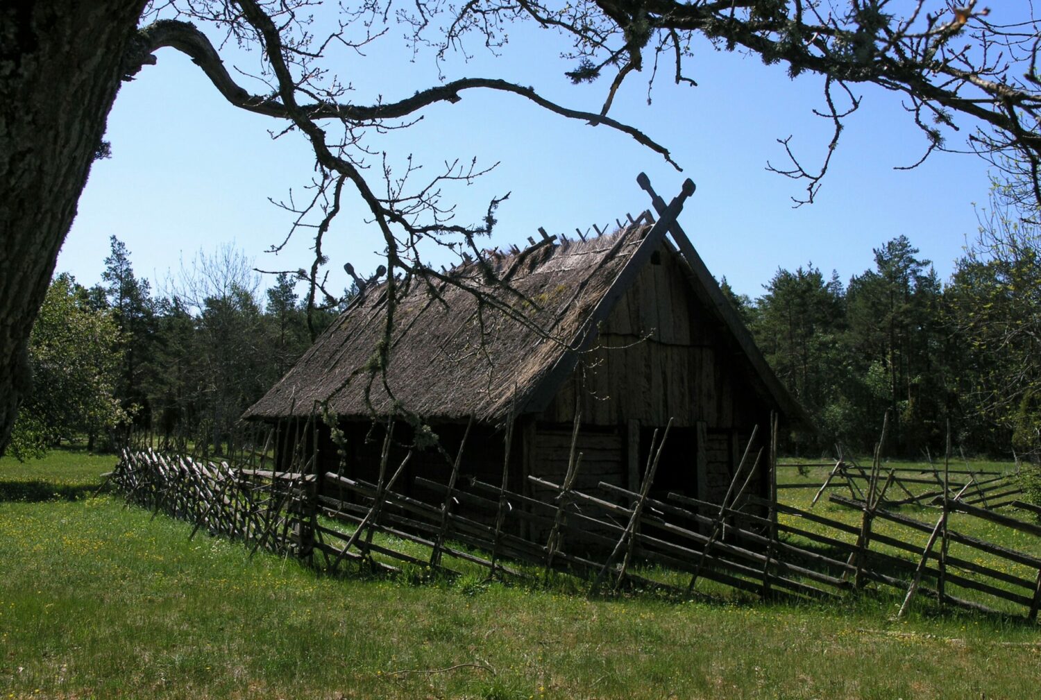 gammalt trähus