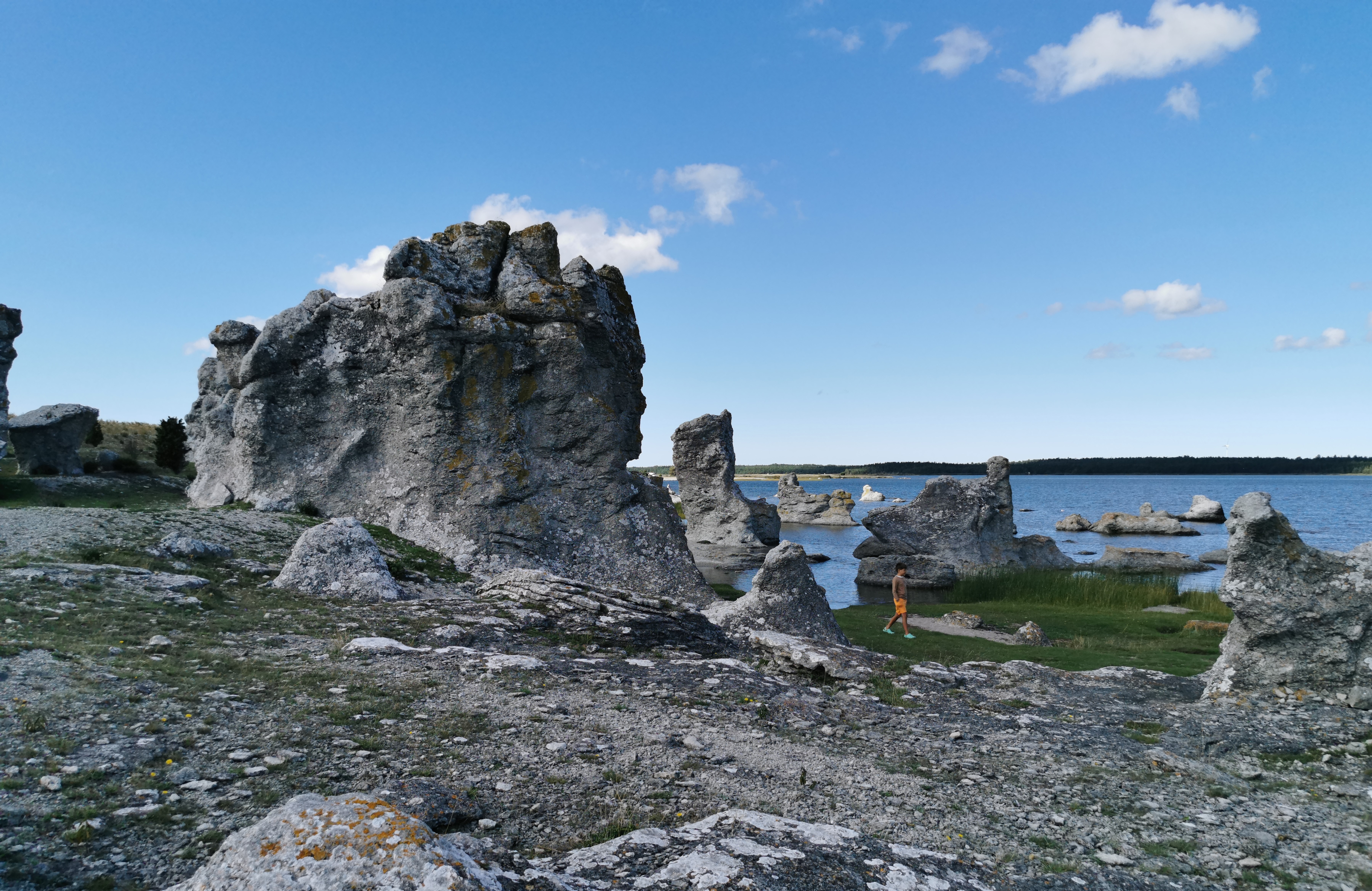 Barn vid raukar på Asunden