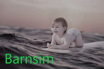 Verksamhetsbild