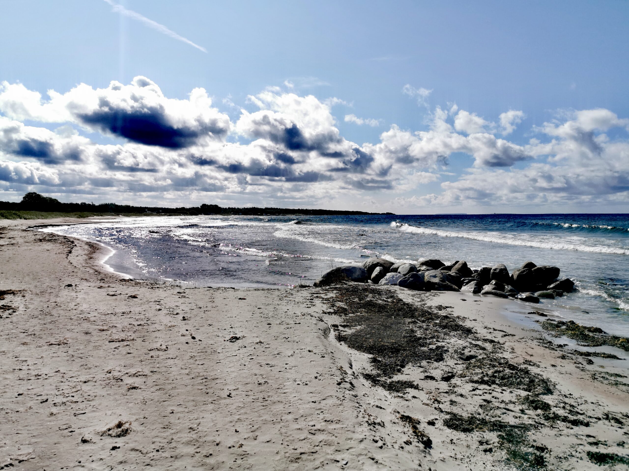 sandstrand på hösten