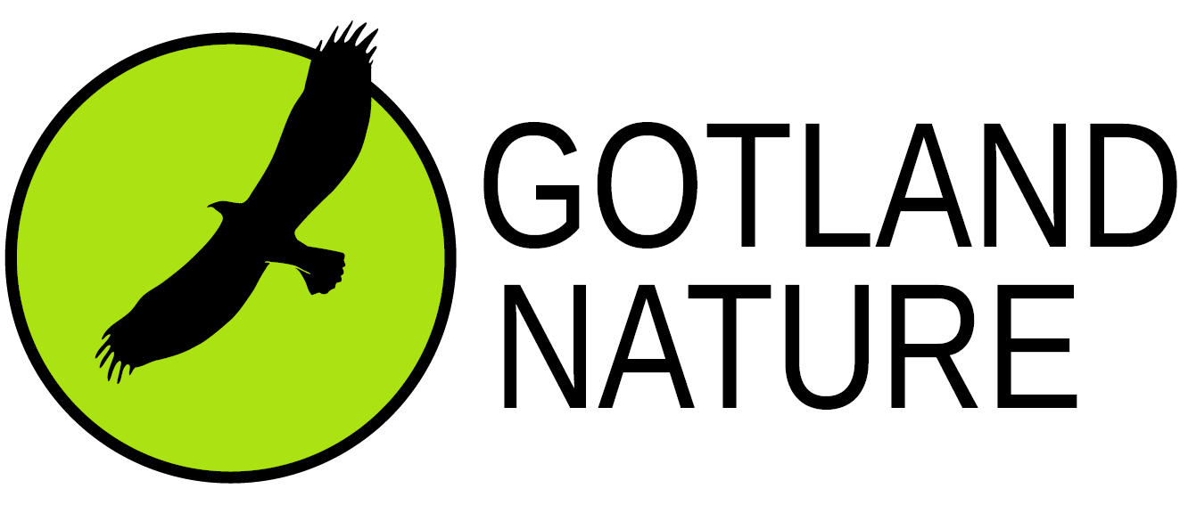 logotyp