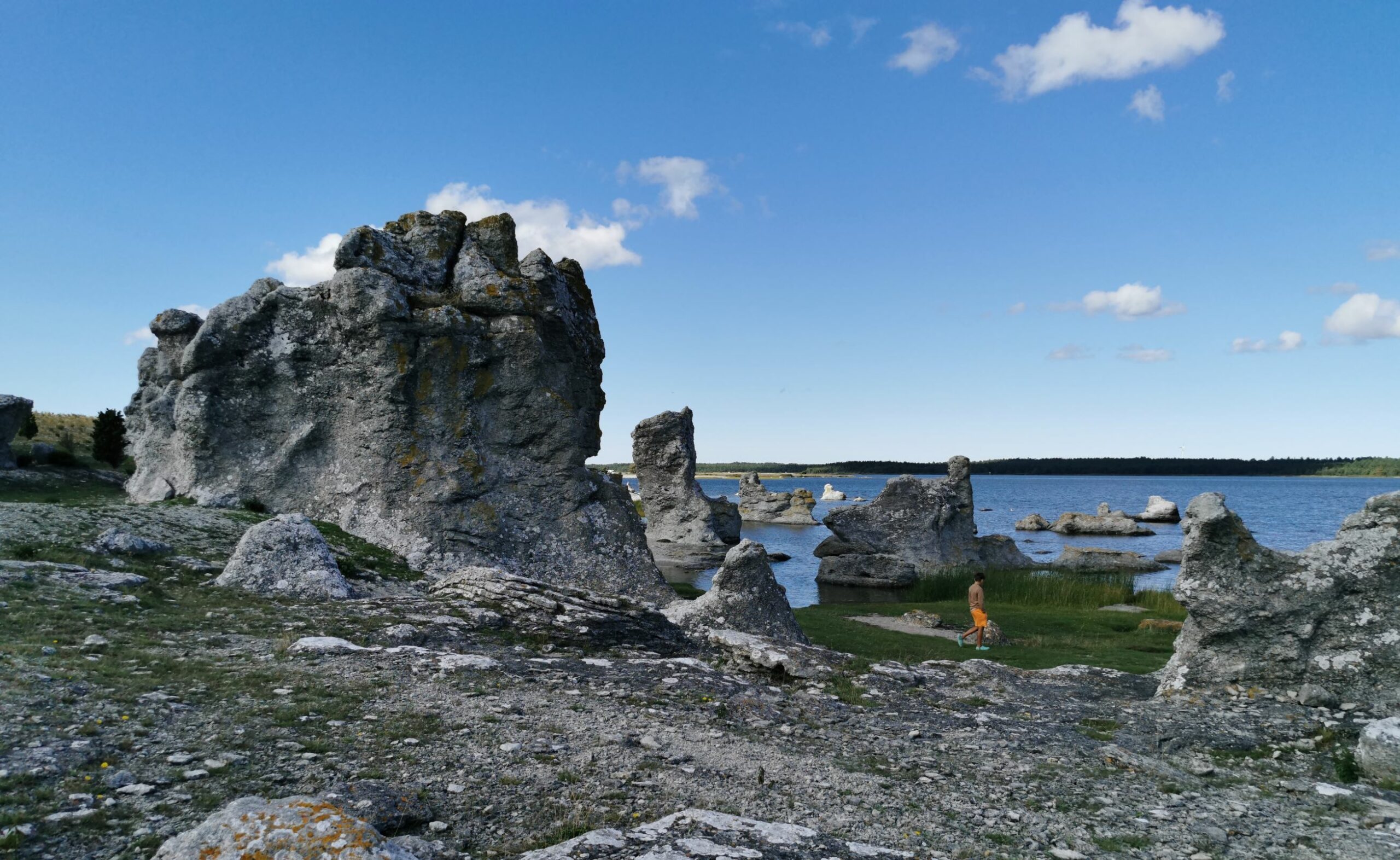 barn bland raukar