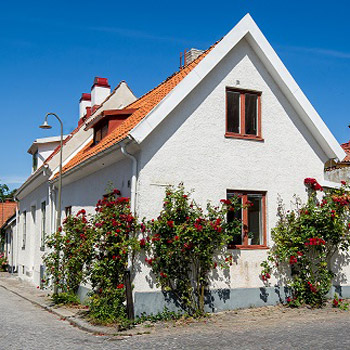 Verksamhetsbild