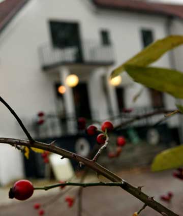 Verksamhetsbild