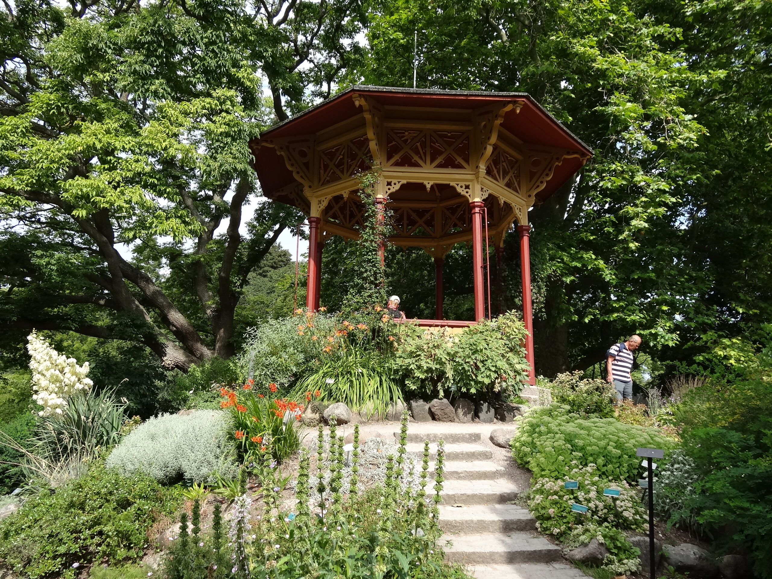 Lusthuset i Visbys botaniska trädgård i sommargrönska.