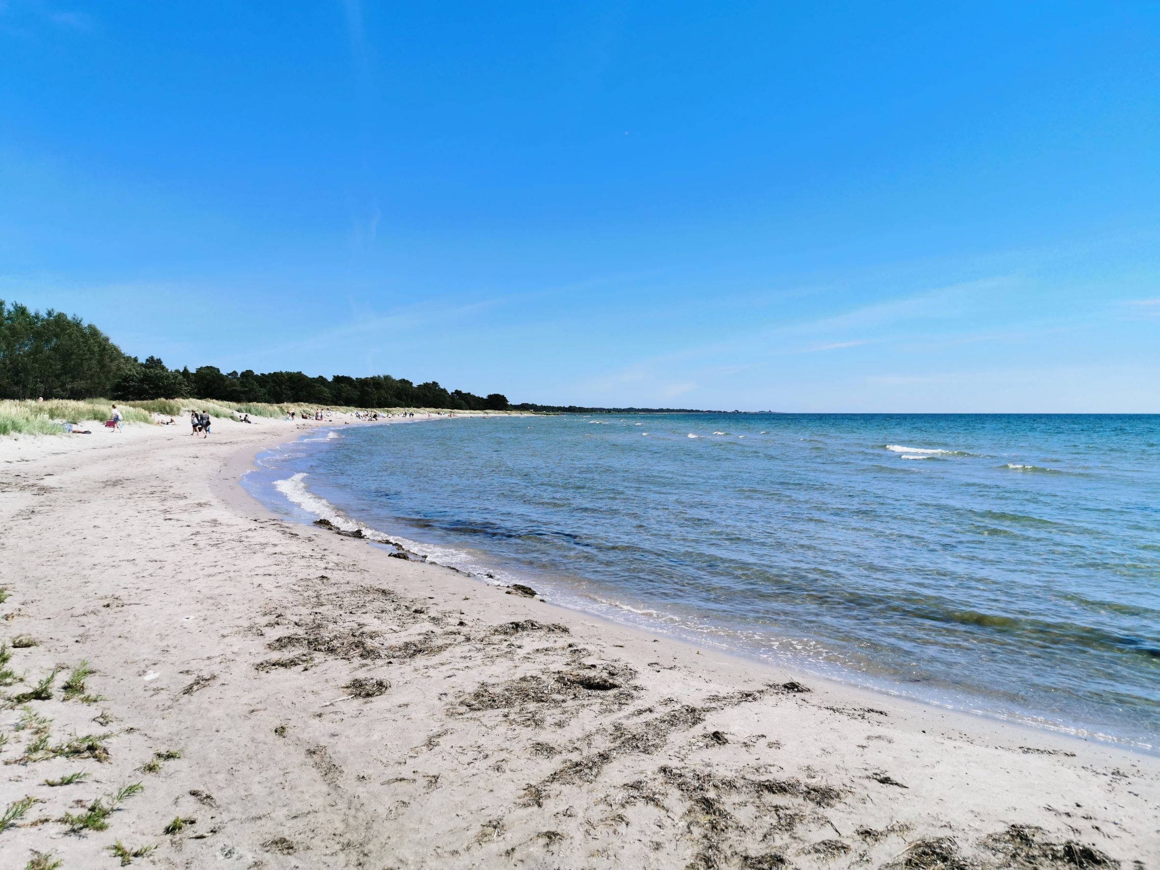 Herta strand i När på sydöstra Gotland en solig sommardag