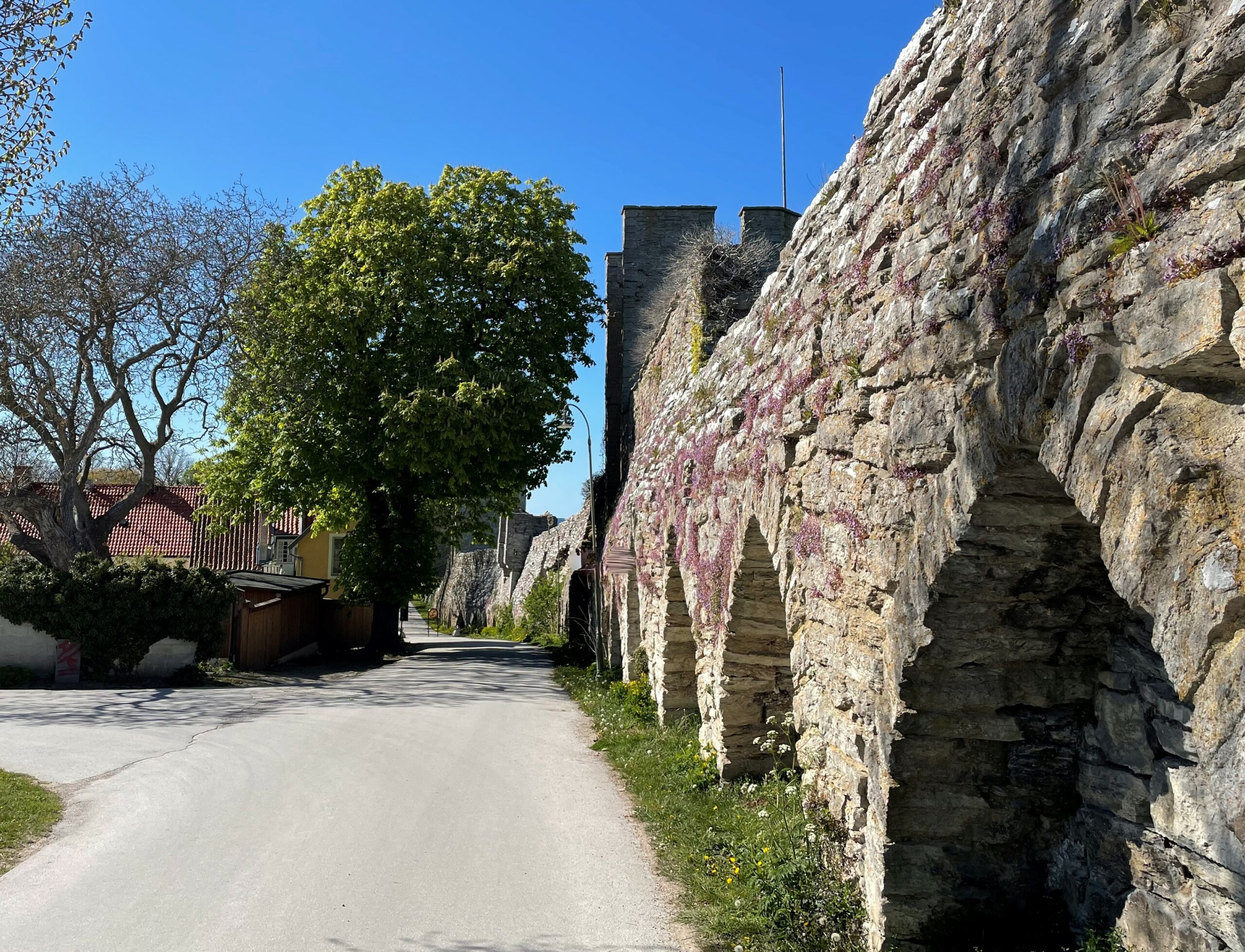 Silverhättan och Visby ringmur