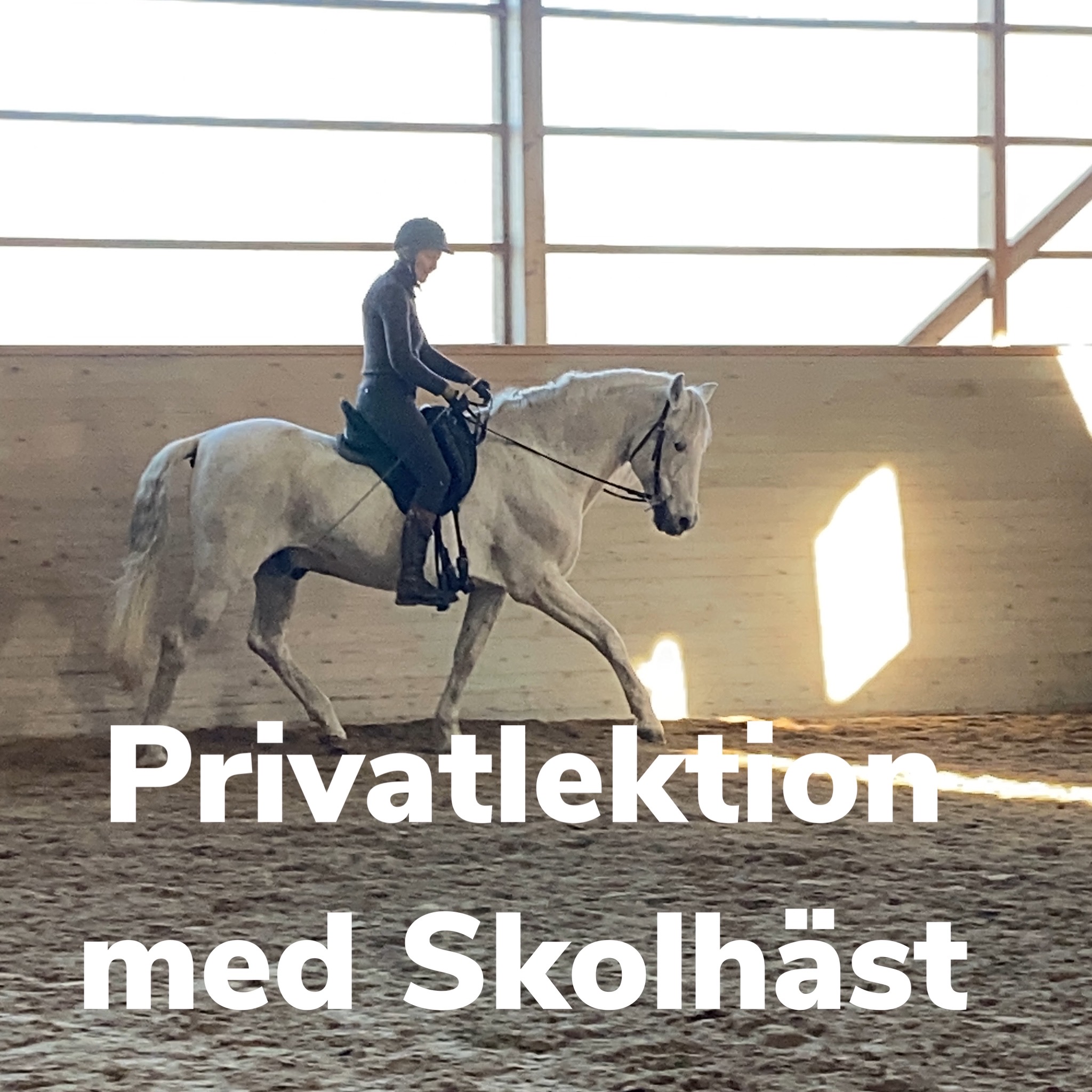 Aktivitetsbild