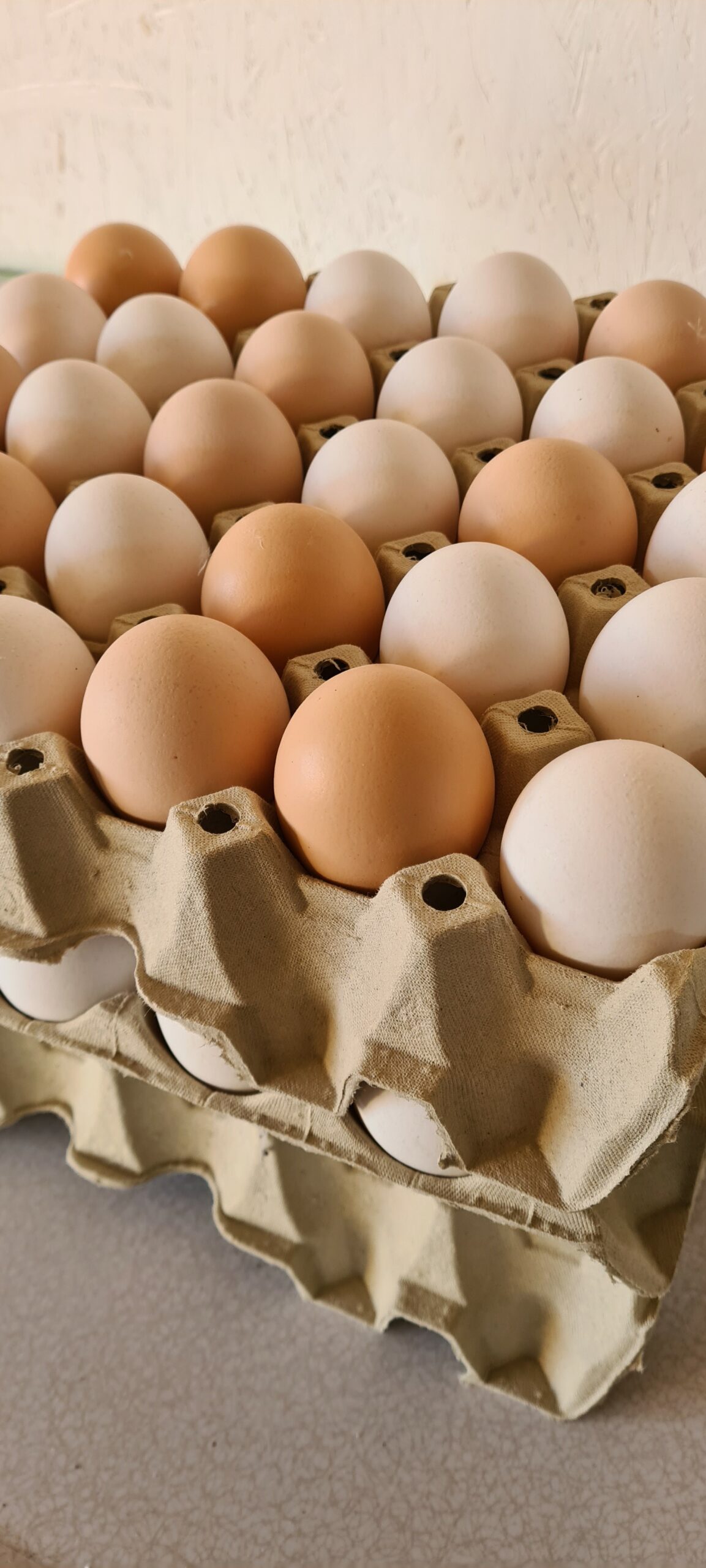 Verksamhetsbild
