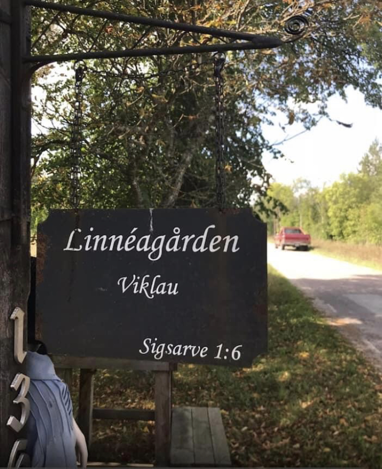 Aktivitetsbild