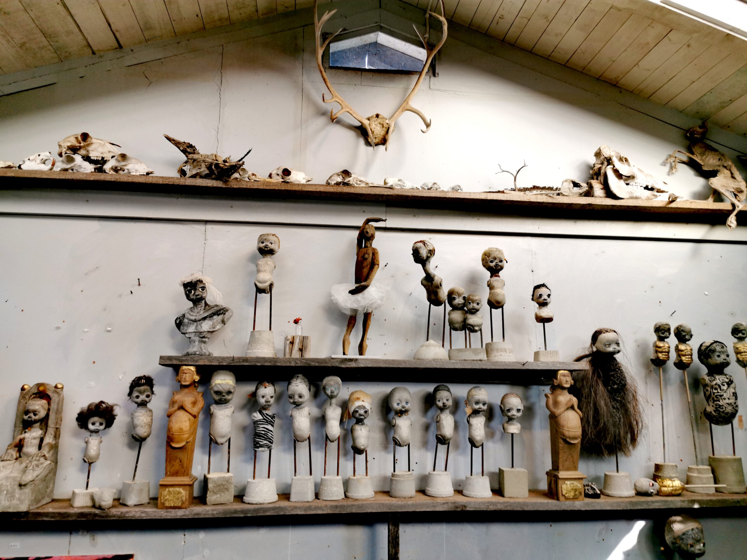 Skulpturer i Kaj Engströms ateljé på Fårö