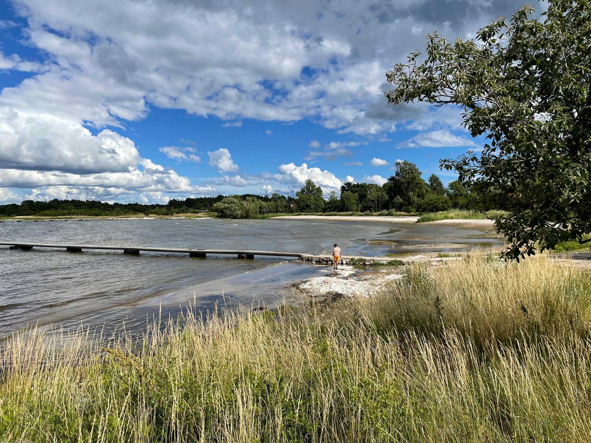 Stranden och bryggan vid Katthammarsviks badstrand