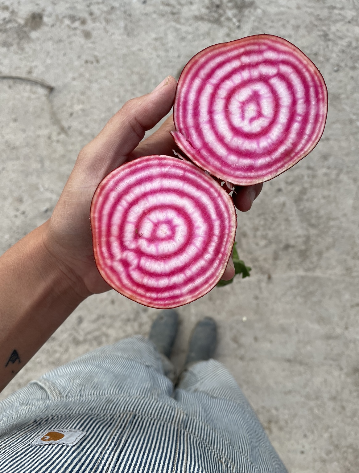 Verksamhetsbild