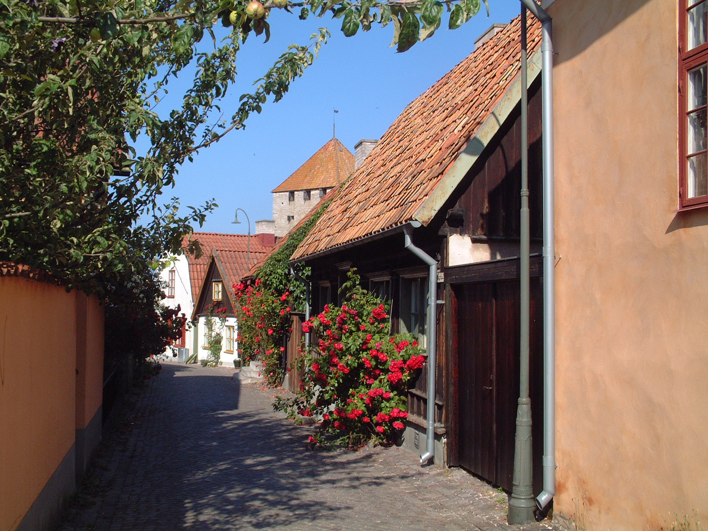 Verksamhetsbild