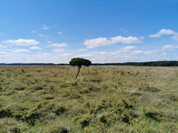 Verksamhetsbild