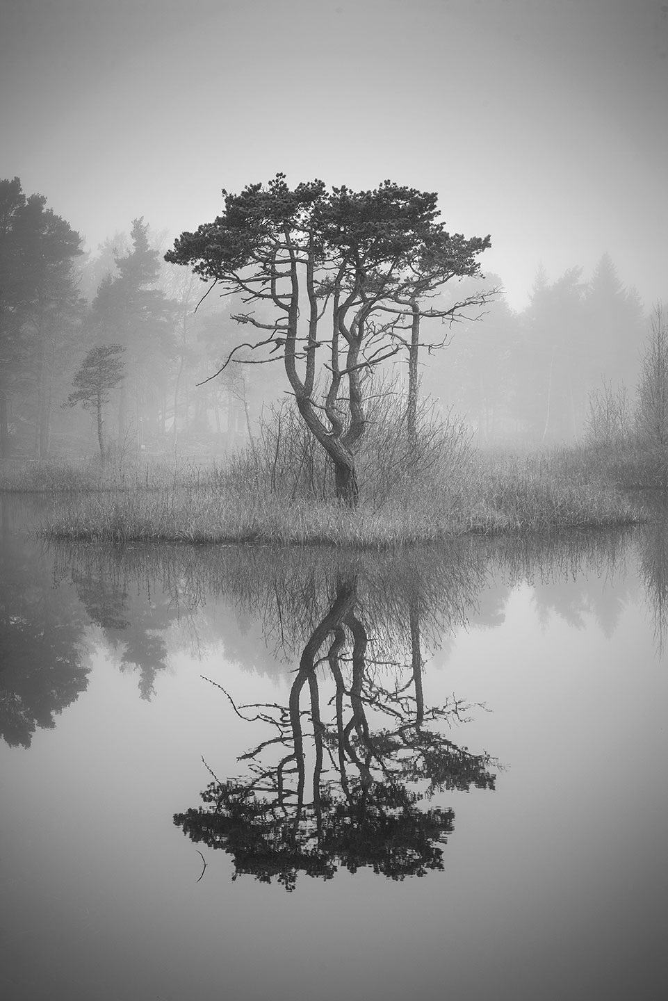 Verksamhetsbild