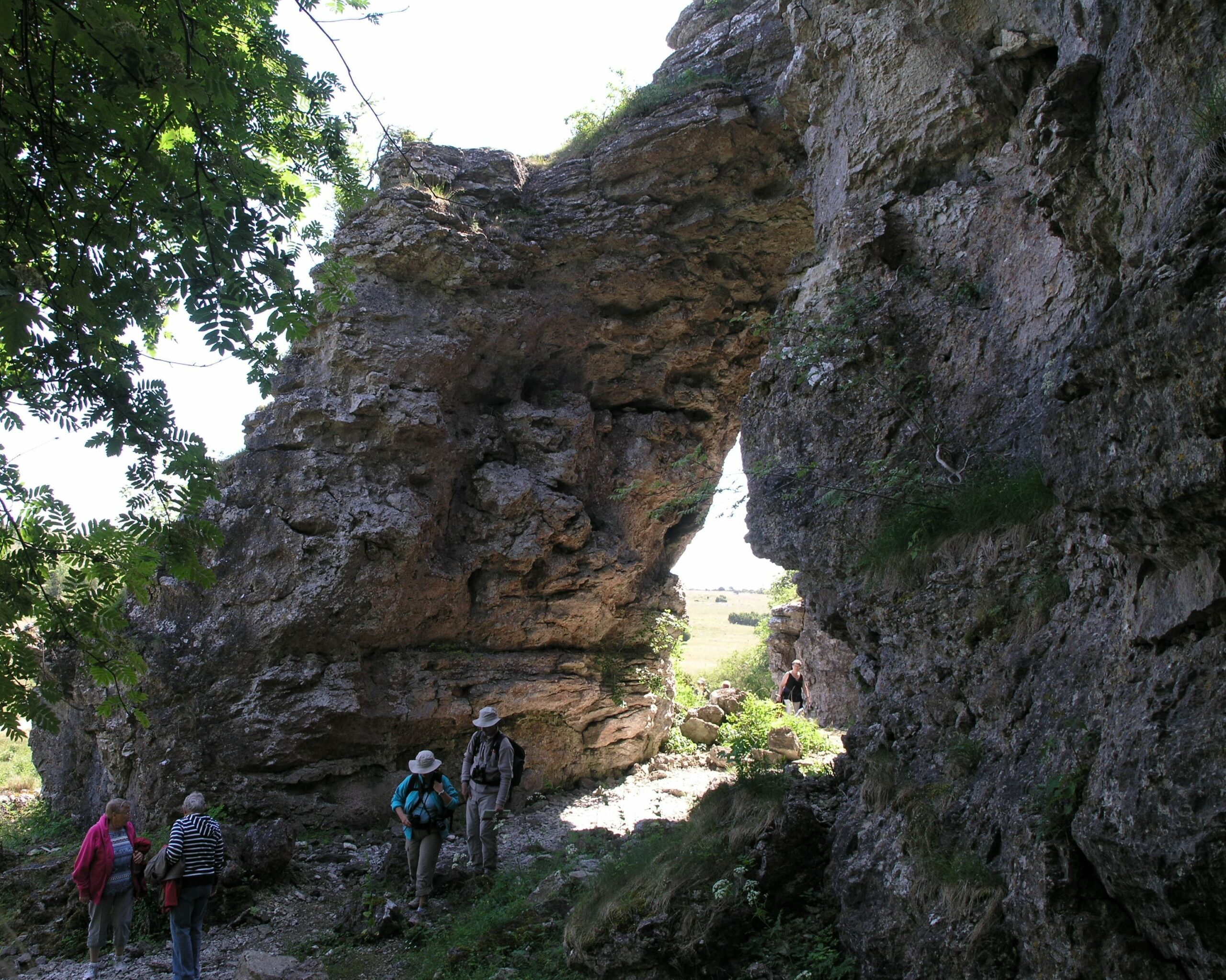 Verksamhetsbild