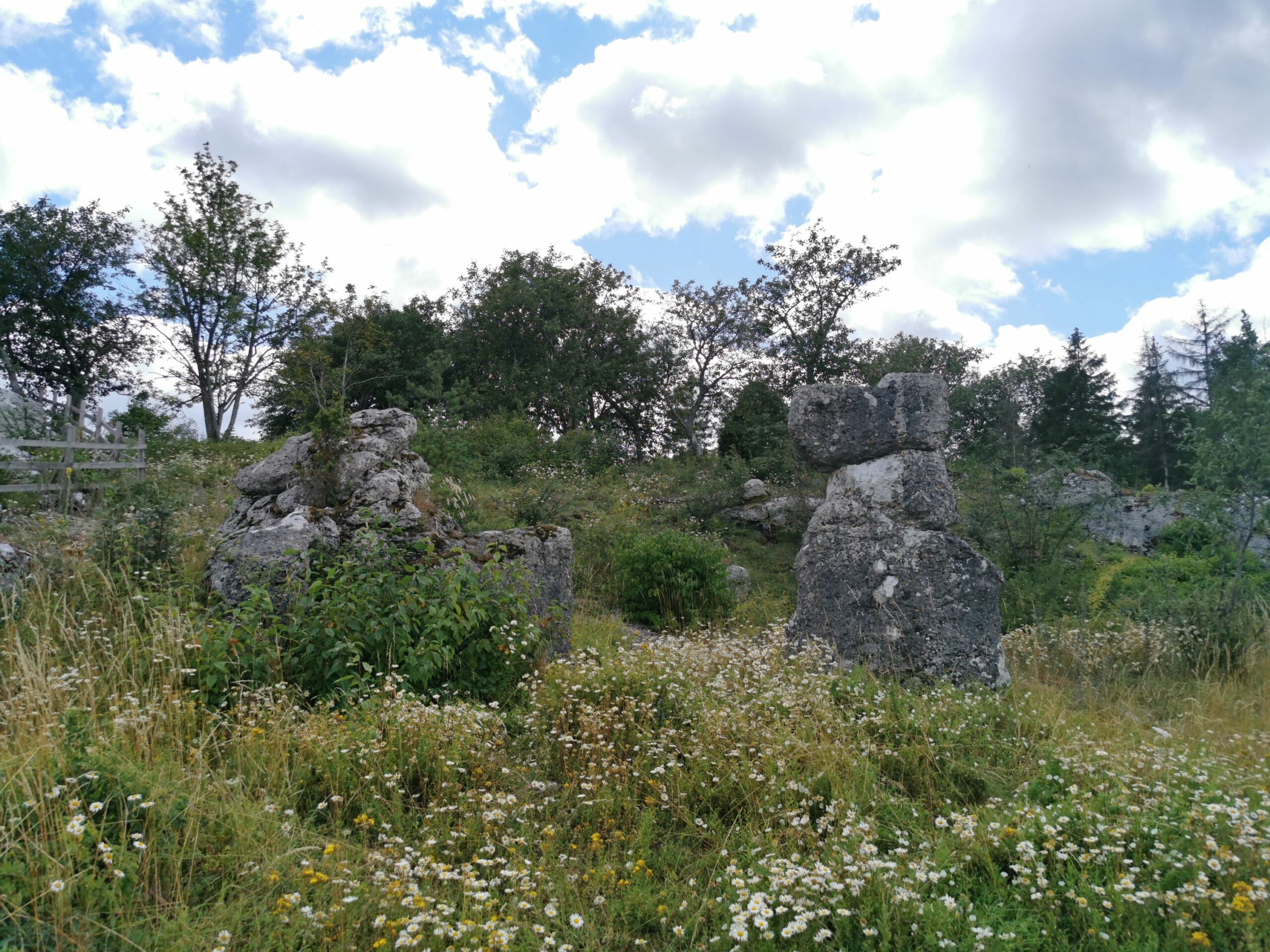 Verksamhetsbild