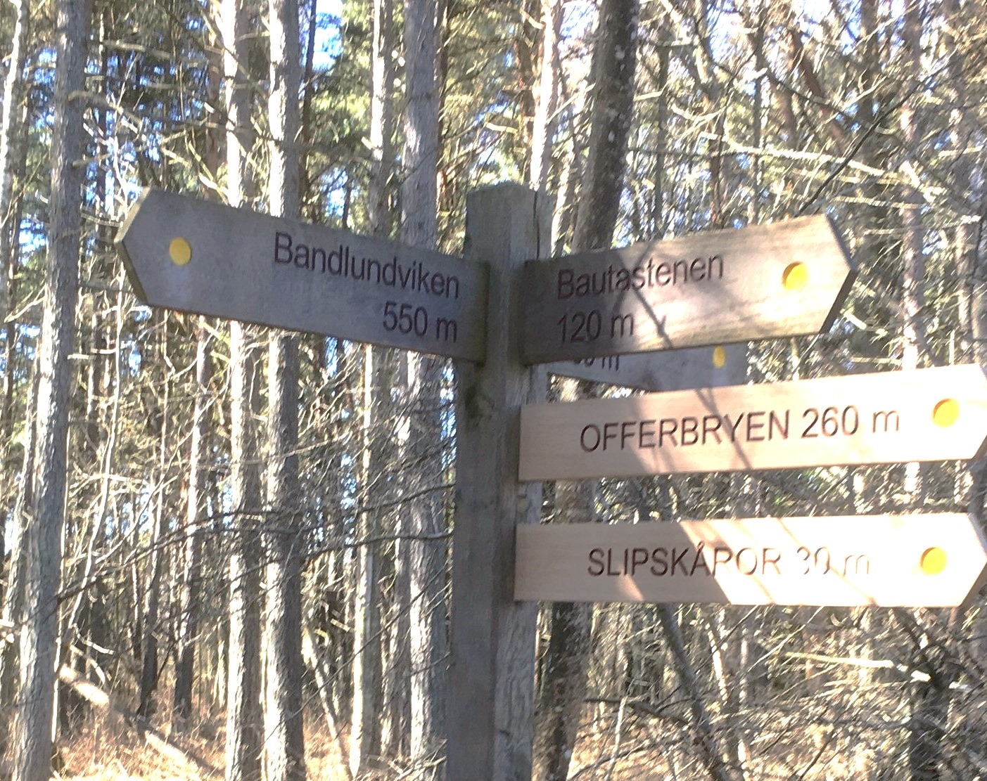 Verksamhetsbild