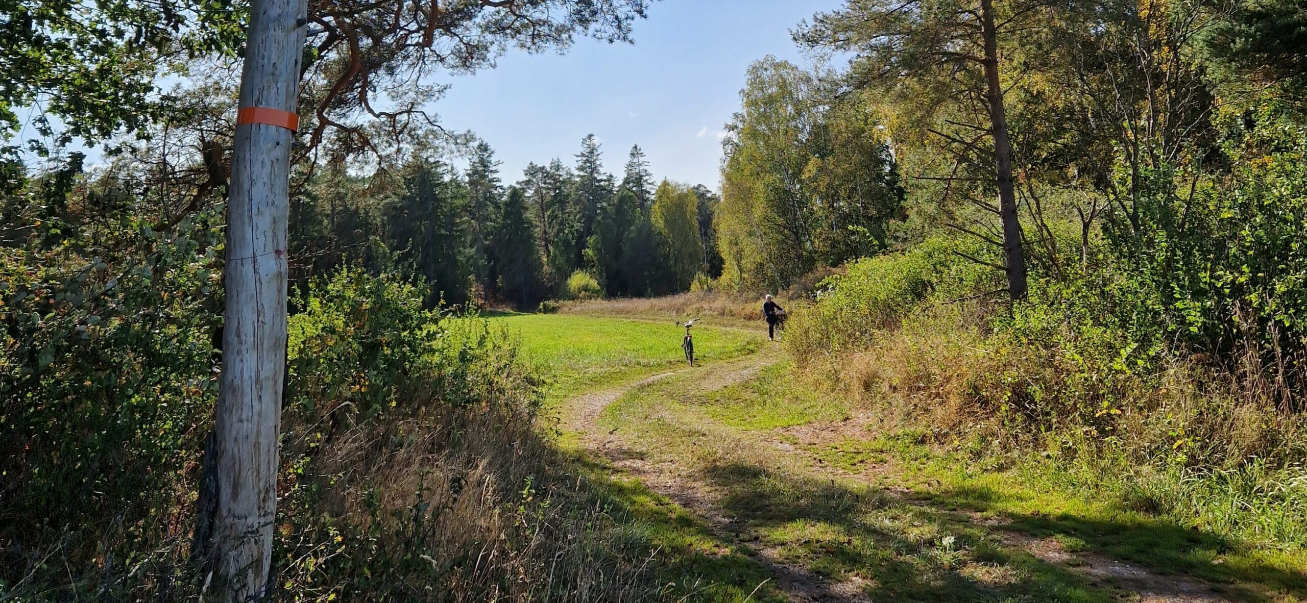 Verksamhetsbild omslag