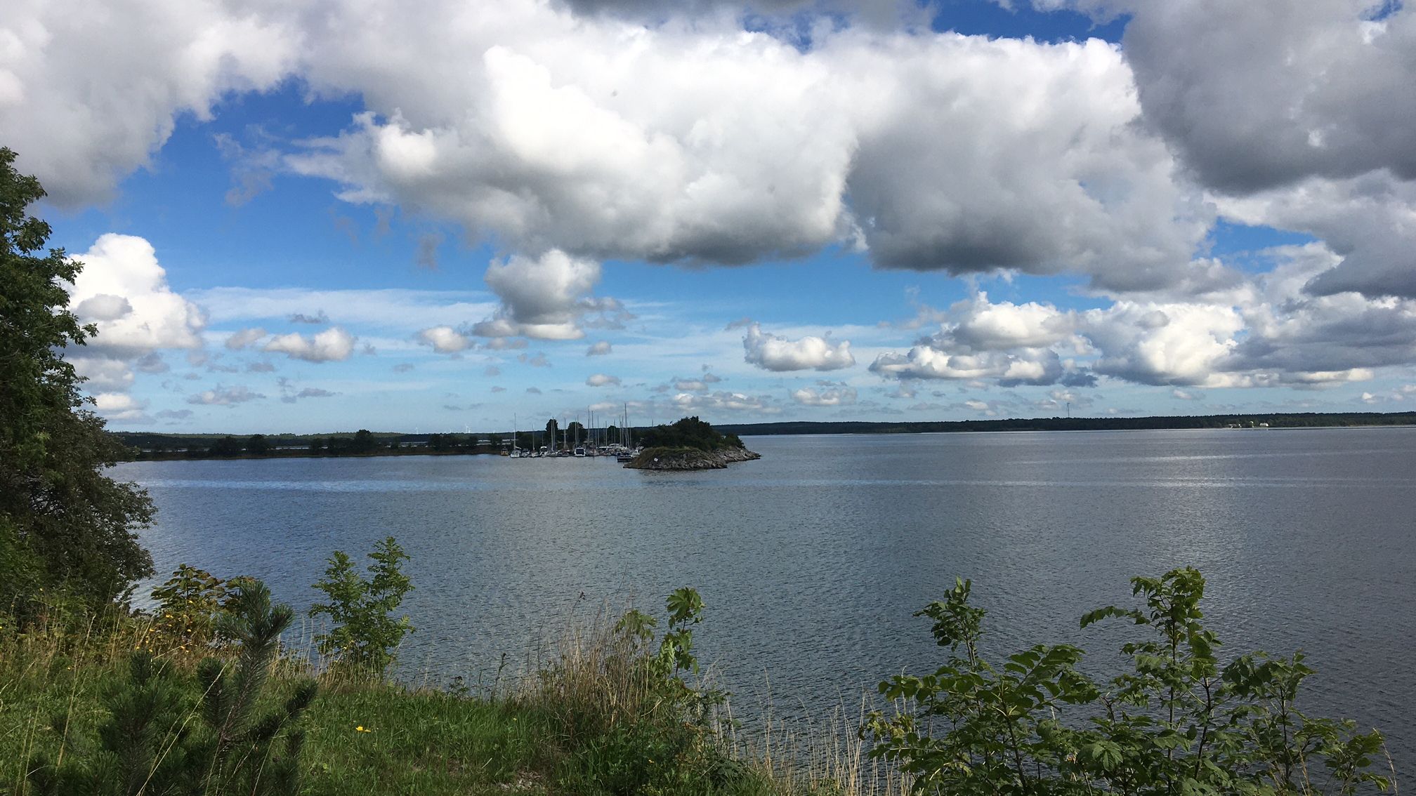 Verksamhetsbild omslag