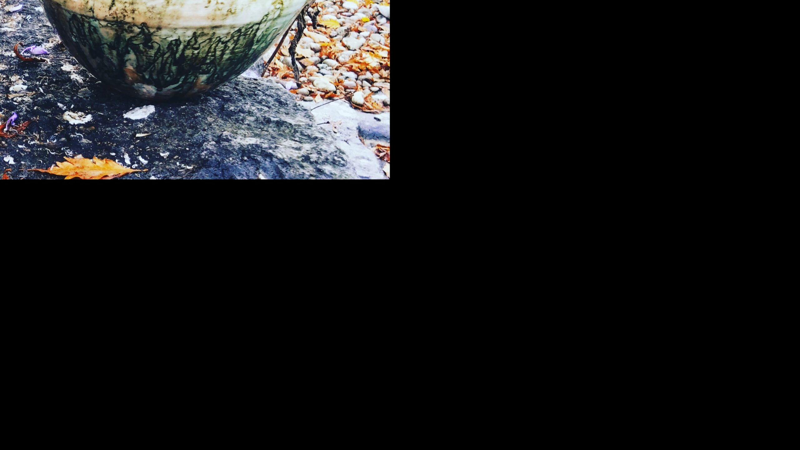 Verksamhetsbild