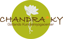 logotyp