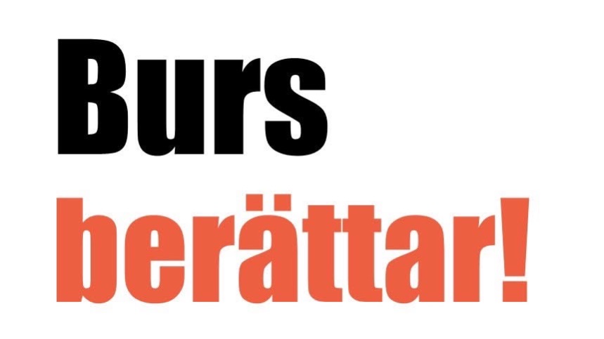 Verksamhetsbild omslag