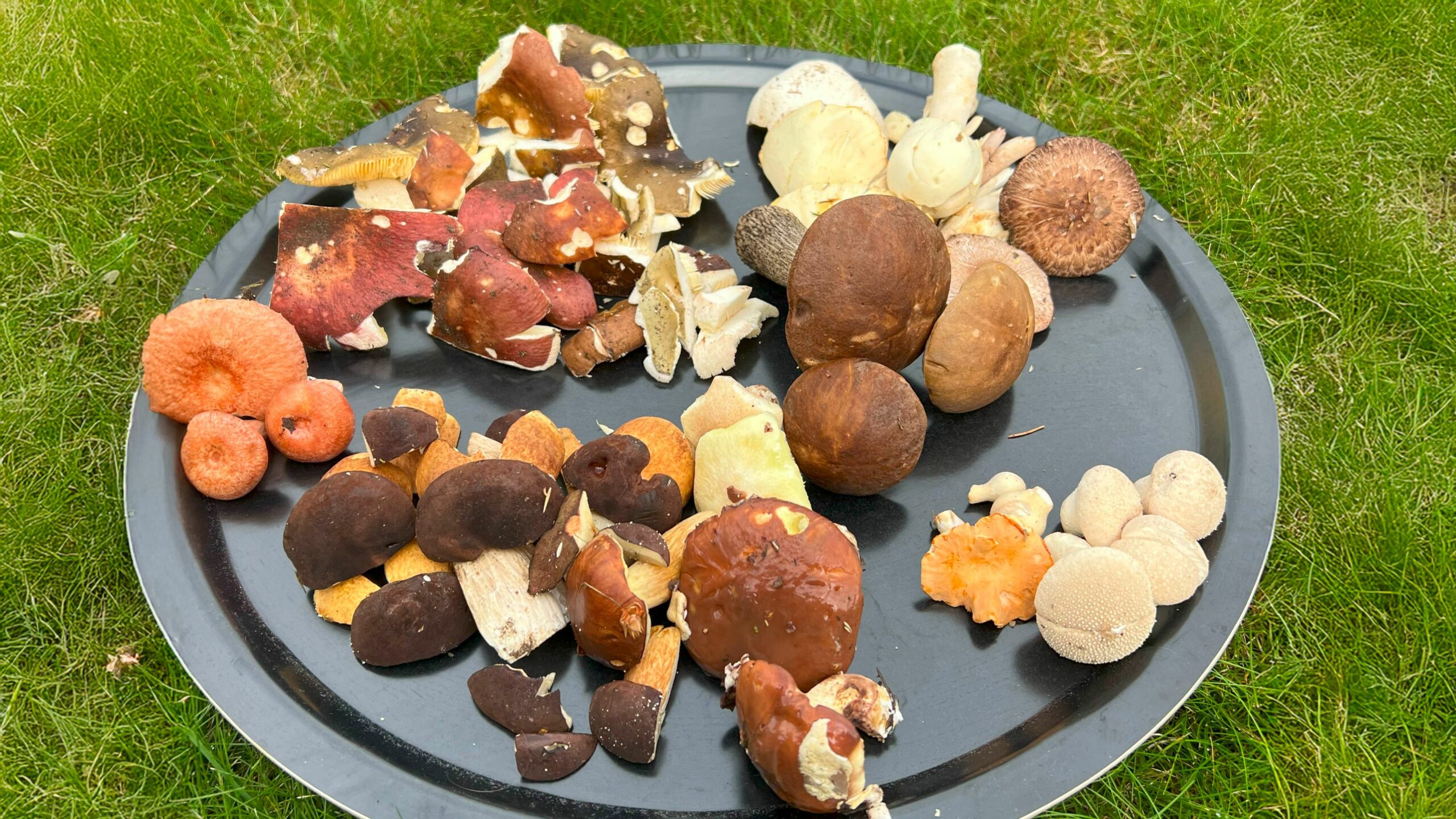 Verksamhetsbild