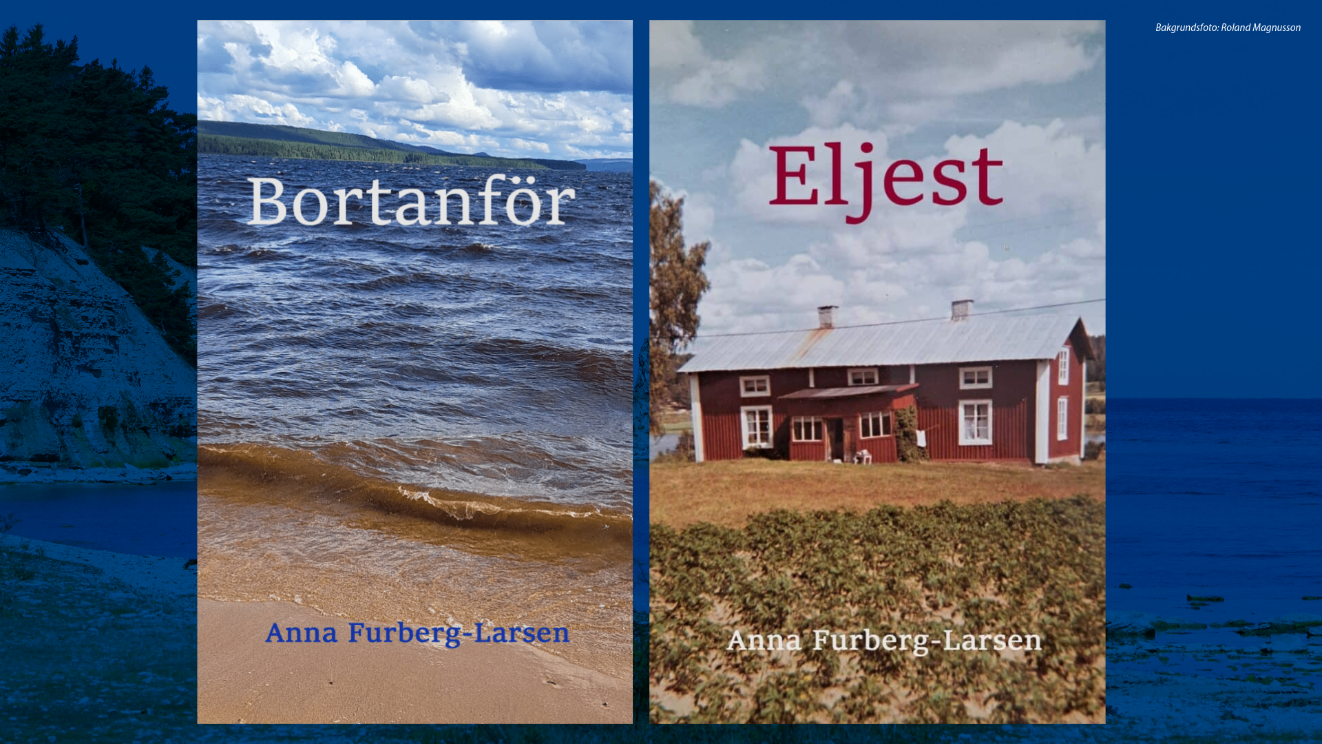 Evenemangsbild