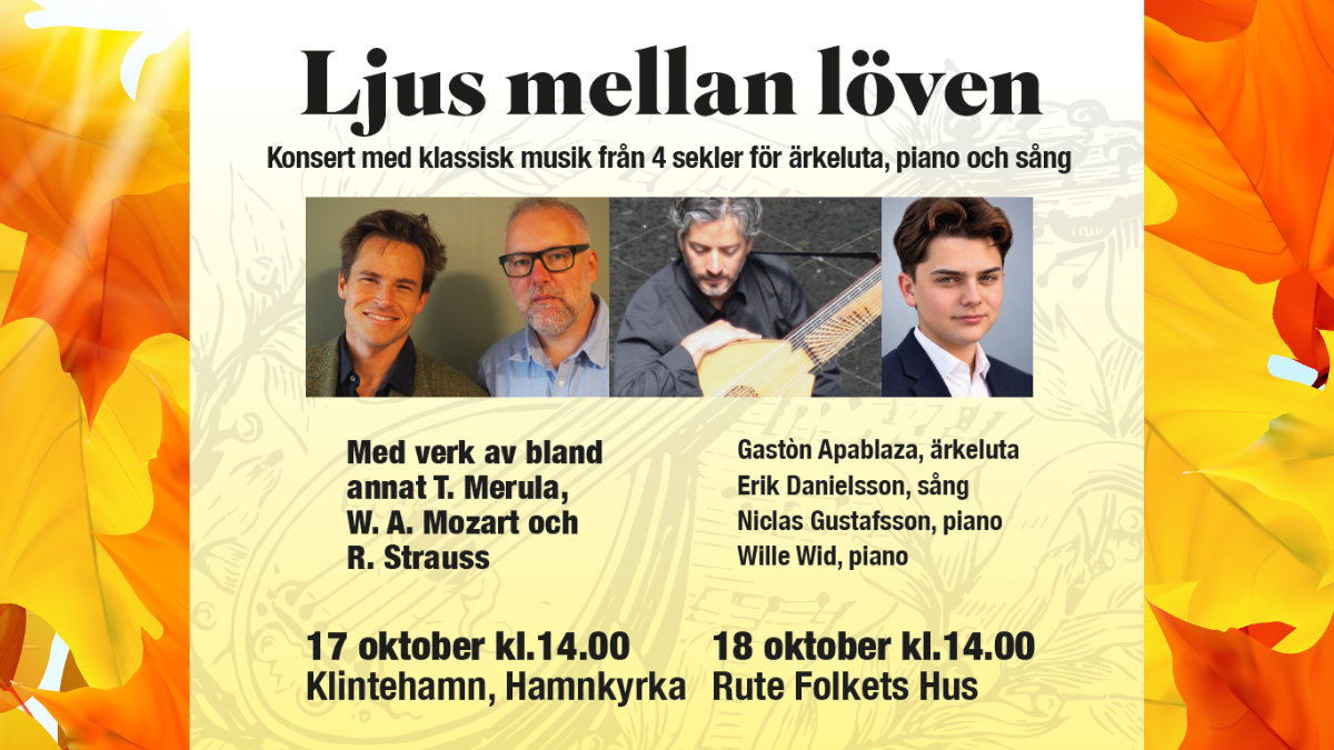 Evenemangsbild