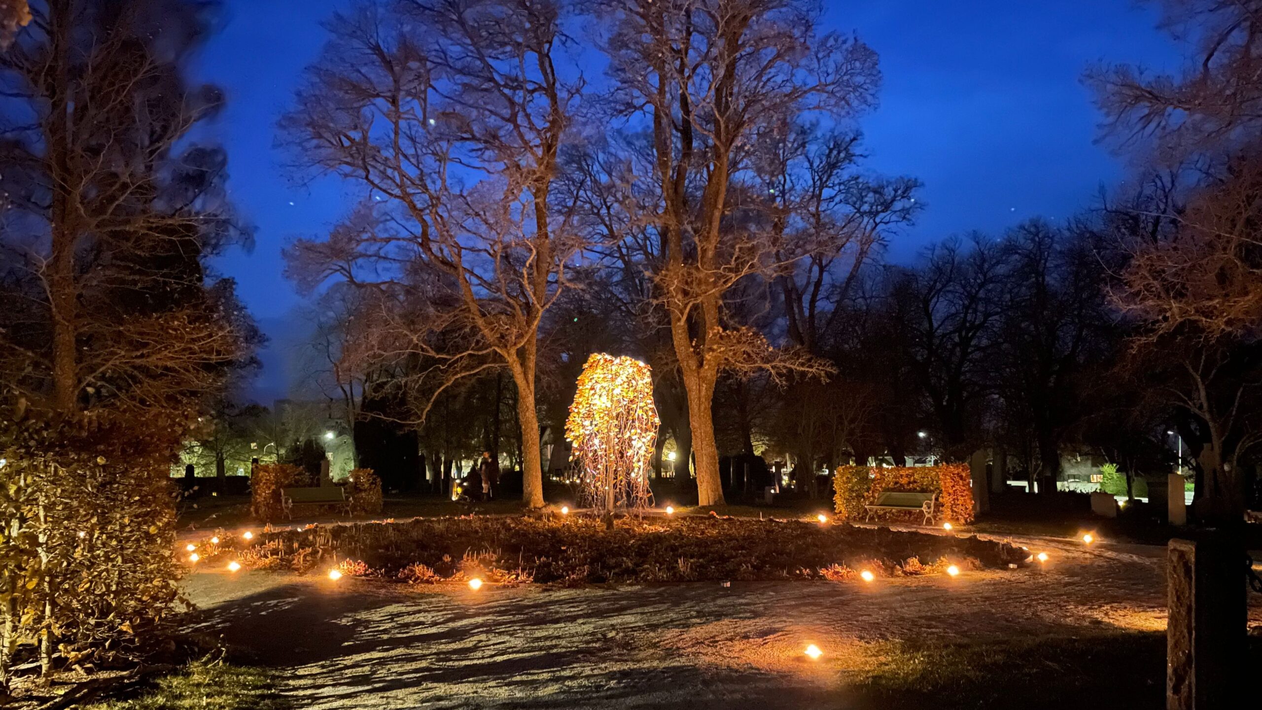 Requiem i domkyrkan