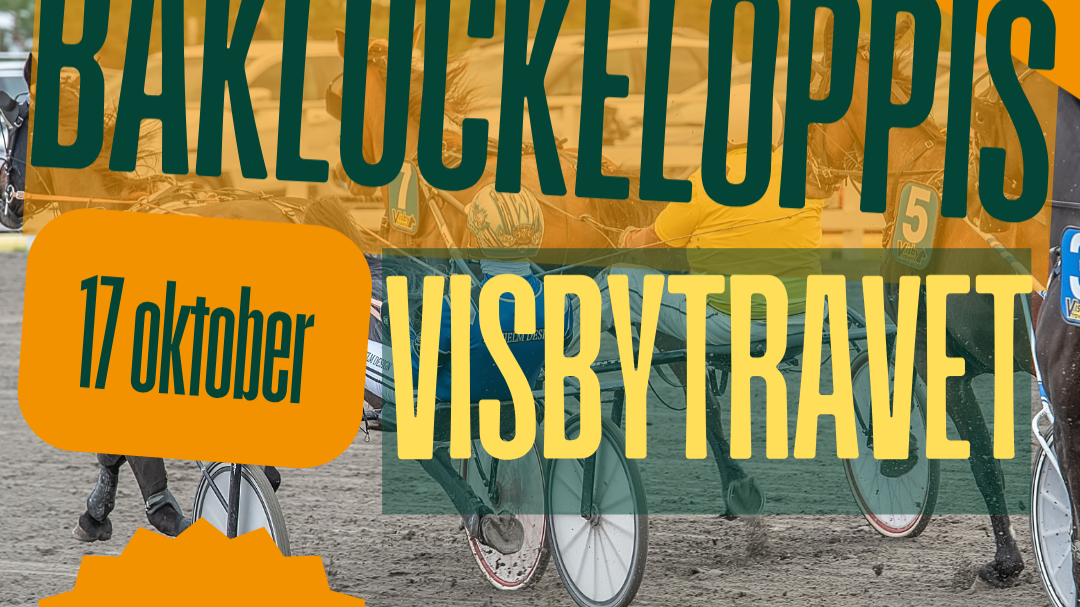 Lördagstrav med bakluckeloppis