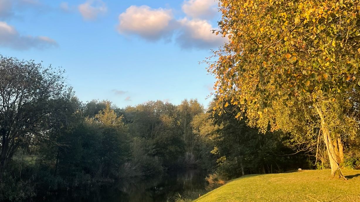 Evenemangbild