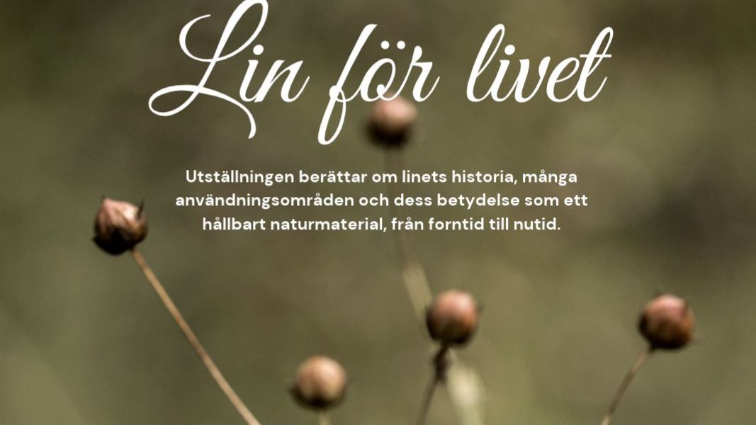 Evenemangsbild omslag