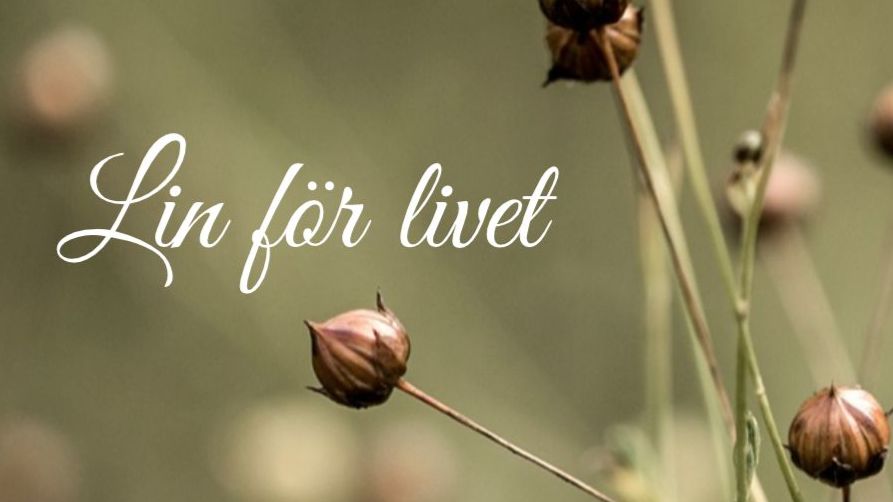 Föredrag med damastvävare Hans Thomsson – i samband med vernissagen av Lin för livet